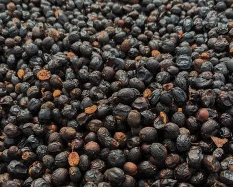 Costa Rica Finca Monte Alto