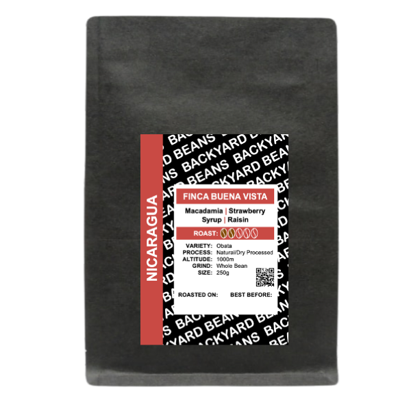 Nicaragua Finca Buena Vista